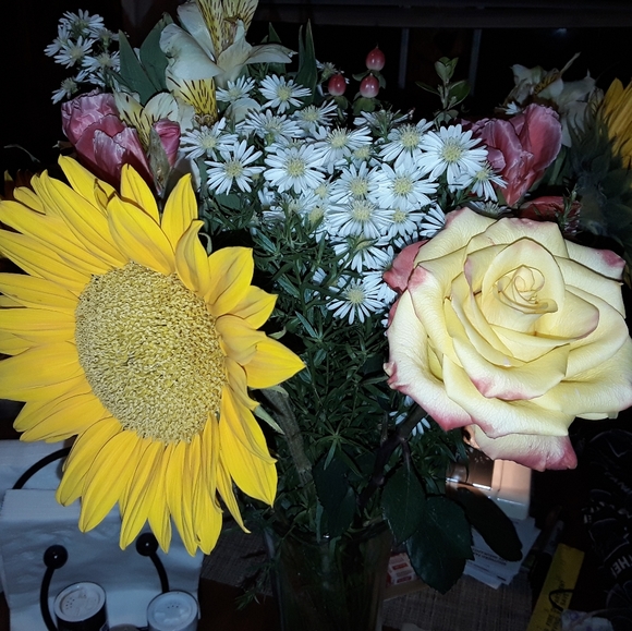 Meet your Posher, Joy - Picture 2 of 2